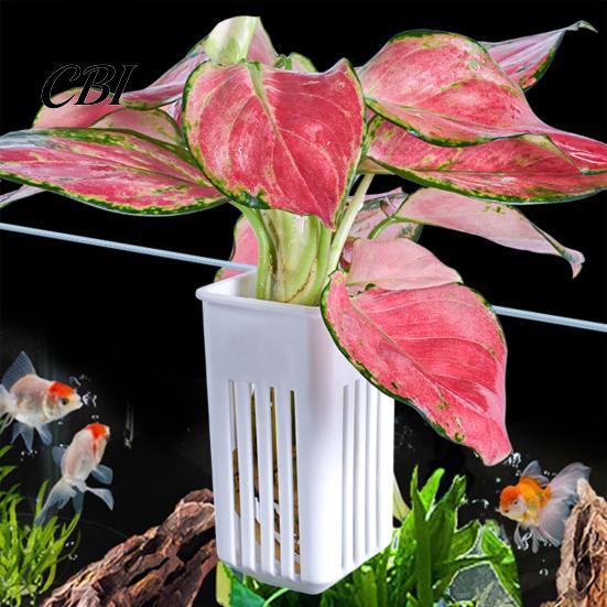 Permeable Plant Cup Tank Container, Hydroponic Holder, Wall Mounted Holder Aquatic Pot, Aquarium Planter Pot Fish Decoration Saving