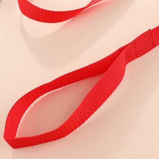 Милое платье для собаки и комплект поводка с бантом, украшение принцессы для кошек, платье для домашних животных на весну и лето, активный отдых на свежем воздухе