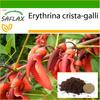 Cockspur Coral Tree - 6 семян - С горшечным субстратом для лучшего выращивания - Erythrina cristagalli