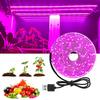 2/3/5m 5V USB Flexible Full Spectrum 2835SMD LED Plant Growth Lamp Light Strip
