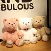 Lucky Teddy Bear Plush Toy For Girls Soft And Cuddly Stuffed Animal For Birthday Gift