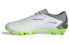 Predator Accuracy.3 Low Fg 'Crazyrush Pack' GZ0014