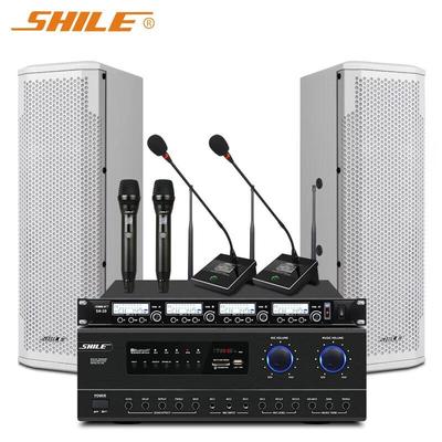 Настенная конференц-акустическая система Shile Professional, штекер CN (адаптер в комплекте)