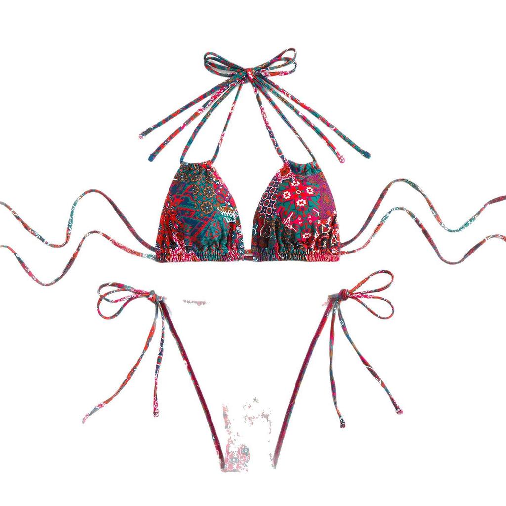 2025 European & American Women's Print Sexy Backless Double Tie Bikini Swimsuit