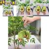 Adorable Avocado Stuffed Toy Keychain Super Soft Plush Doll Perfect For Kids