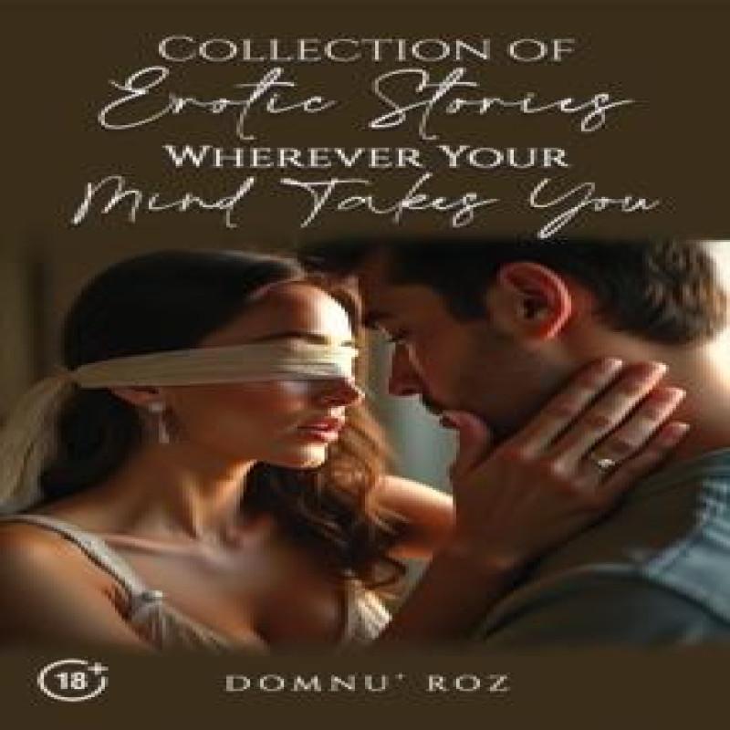 Collection of Erotic Stories...Wherever Your...Mind Takes You by Domnu Roz Paperback Book 9781035884599