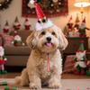 Pet Christmas Hat Cats Red Xmas Hat Santa Hat with Glittery Polka Dots for Cats And Dogs Festive Dress-up Photo Prop