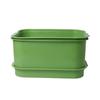 Plastic Seed Sprouter Tray With Cover Beans Seeding Pot New Sprout Dish Growing Pot