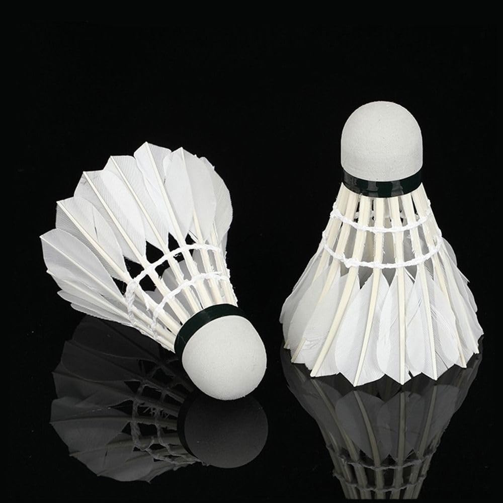12pcs Professional Badminton Shuttlecocks Black Goose Feather Badminton Shuttlecocks Training Sports Badminton Balls