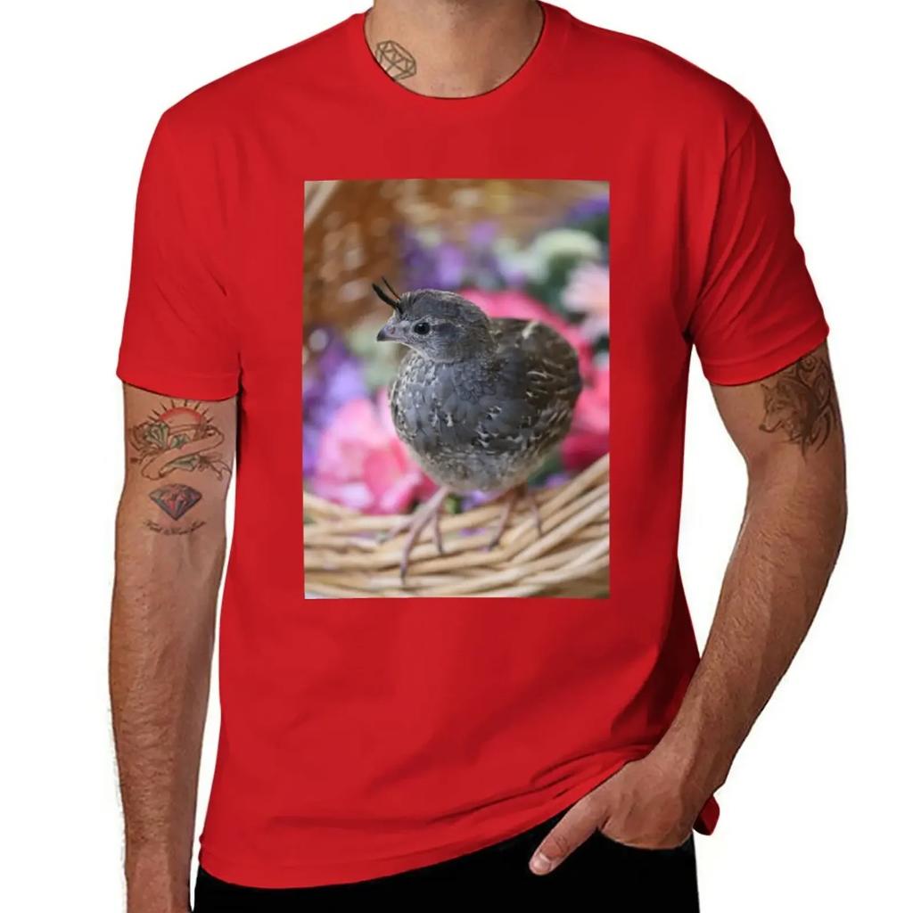 Pezi the Quail, Spring Basket T-Shirt kawaii clothes funnys mens champion t shirts