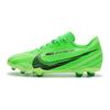 Детские кроссовки Mercurial Vapor 15 Club MG GS Dream Speed ​​— Green Strike Stadium — зеленый черный FJ7188-300