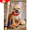 Алмазная картина милая собака горный хрусталь мозаика Алмазная вышивка крестиком смолы домашний декор