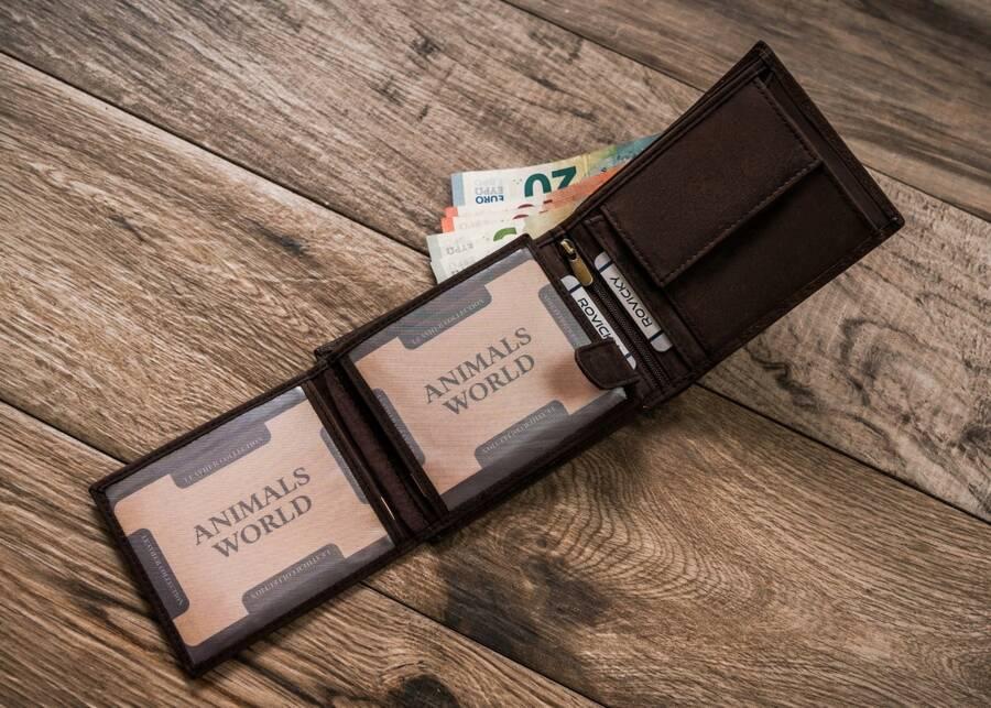 Large men's leather wallet - Always Wild