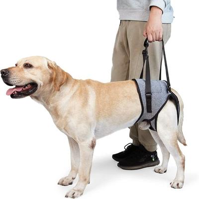 Поддерживающая шлейка для собак Canine Aid для подъема задних лап, новая шлейка для поддержки собак, собака