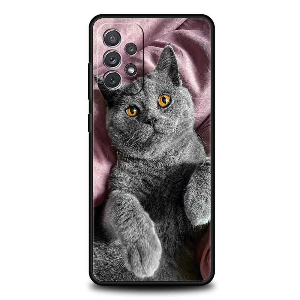 Чехол для британской короткошерстной кошки для Samsung A24 A12 A14 A32 A50 A70 A20E A20S A10 A10S A22 A30 A40 A34 A54 A42 A52 5G A04s A72