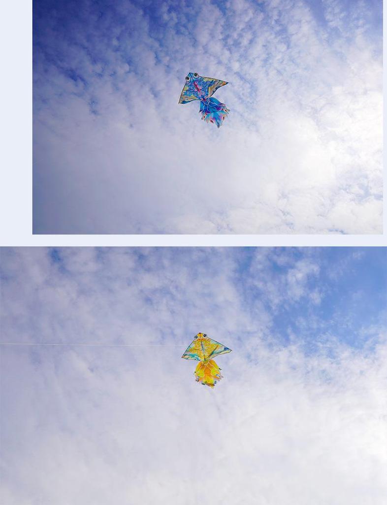 High-End Chinese Style Goldfish Koi Kite for Adults - Easy to Fly in Light Breezes.