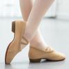 Танцевальная обувь ThreeThree, женские дышащие балетки для взрослых, обувь для учителей, женская танцевальная обувь на мягкой подошве и каблуке, профессиональная обувь для тренировок