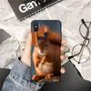 YNDFCNB Милый Чехол для Телефона с Рисунком Белки для Xiaomi Redmi 5 5Plus 6 6A 4X 7 7A 8 8A 9 Note 5 5A 6 7 8 8Pro 8T 9