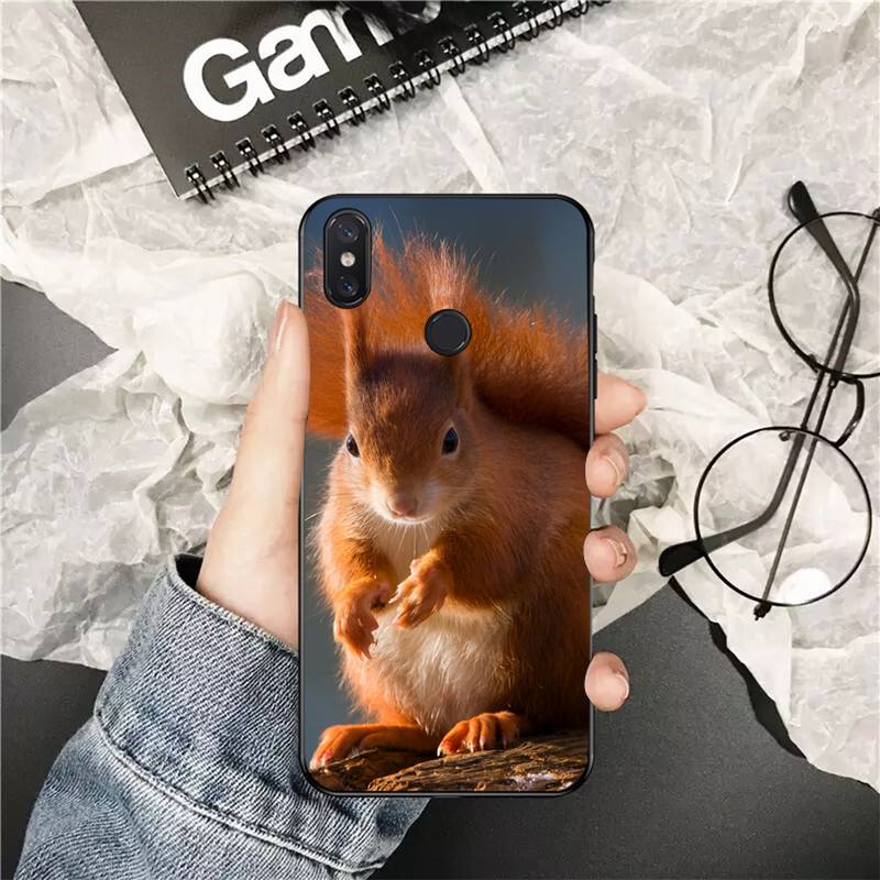 YNDFCNB Милый Чехол для Телефона с Рисунком Белки для Xiaomi Redmi 5 5Plus 6 6A 4X 7 7A 8 8A 9 Note 5 5A 6 7 8 8Pro 8T 9