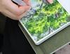 Хлопковый акварельный скетчбук Cai Mo 300 г - Мелкое зерно, Плотная бумага, Пустые листы для акрила и маркеров