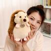 Cute Simulation Little Hedgehog Doll Plush Toy Hedgehog Doll Children's Company Soothing Rag Doll Birthday Gift