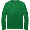 Polo Solid Logo Embroidered Crew Neck Knit Sweater Men Sweater Green 710918998-024