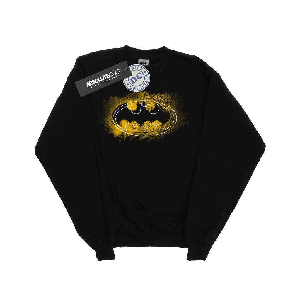 DC Comics Boys Batman Spray Logo Sweatshirt