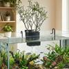 Extendable Hook Aquatic Plant Holder Versatile Plant Cultivation Rack  Plant Cultivation