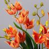 Magpie Orchid Fake Cymbidium Flowers Artificial Cymbidium Faux Flowers  Wedding Decor