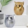 Modern Classy Lucky Owl Combo Resin Art Figure Showpiece (Pack of 2, Golden and Silver)
