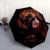 Dog, Portrait- Automatic Umbrella, Four Seasons Portable Folding Umbrella, Suitable for Men and Women, Travel, Daily Compact Umbrella, Outdo