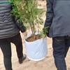 Дышащие мешки для выращивания разного размера, утолщенные, с ручками, Горшок для рассады, Мешок для выращивания