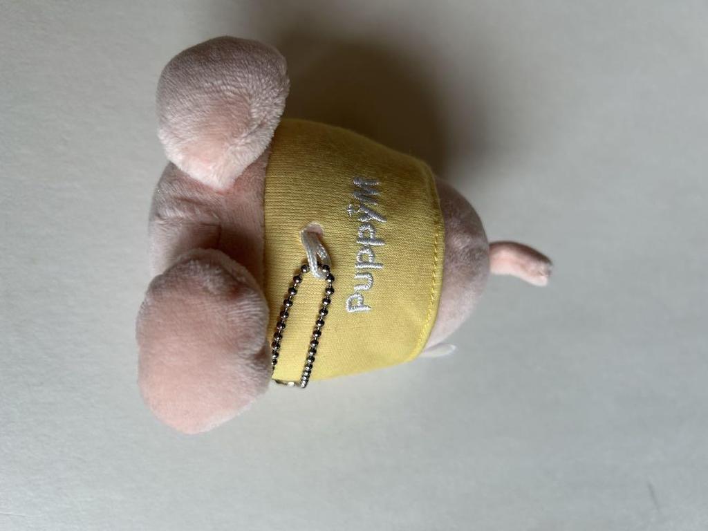 [Б/У] Брелок для сумки StrayKids Puppym