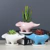 Домашнее Садоводство Мультяшное Животное Суккулент Цветочный Горшок Креативная Личность Керамический Цветочный Горшок Цветочный Орнамент