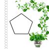 Chain Trellis Climbing Plants Pentagonal Ring Plant Vine Support Kit Stainless Steel Garden Wall Decor for Vines Pothos