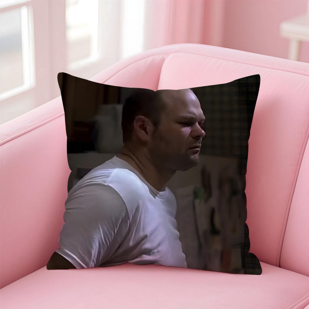 CChris Bauer Cushion Cover Pillow Case Soft Friendly Fabric Concealed Zipper