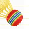 A1A2 10Pcs/set Rainbow Head Badminton Set Shuttlecock for Game Sport Entertainment For Player Play Nylon Plastic Badminton