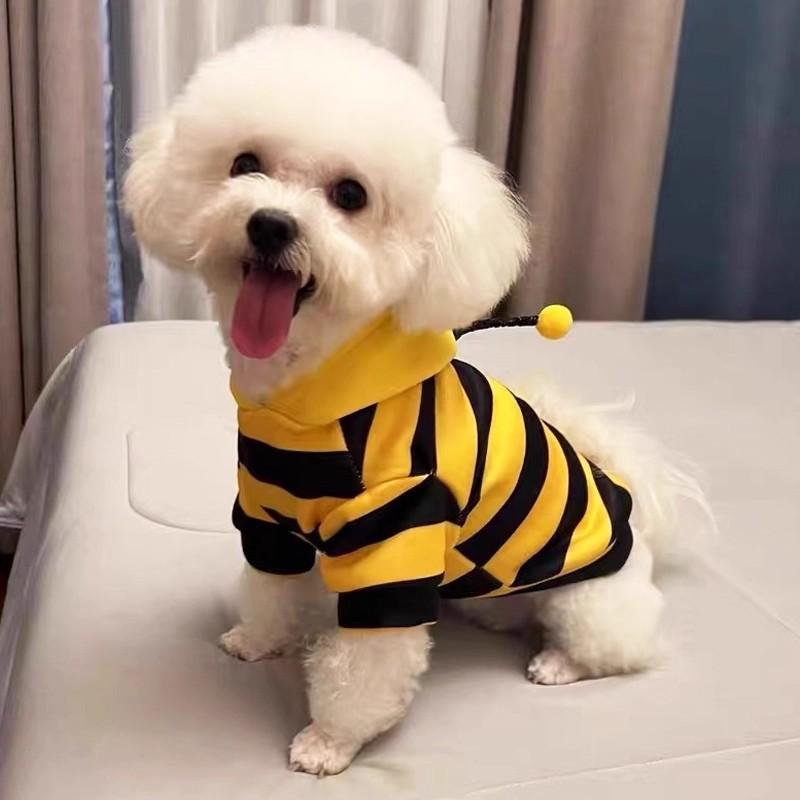 Wholesale Pet Flannel Cute Bee Bigbear Teddy Pomeranian Schnauzer Puppy Dog Cold Warm Clothing