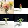 10Pcs Metal Air Plant Stand Container Holder Tabletop Plant Display Rack Vase