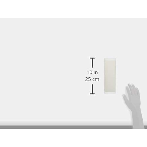 NANIWA Professional Whetstone, Goken Kagayaki, #12000, with Sharpening Stand and Storage Case, 210 X 70 X 10mm, NK-2091