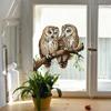 Cartoon Twig Owl Glass Sticker Double-sided Visual Static Sticker Realistic Animal Window Sticker Self-adhesive