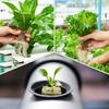 Кубики из минеральной ваты для рассады Стартовые листы для черенков Клонирование Размножение растений Стартовый гидропонный субстрат Кубики