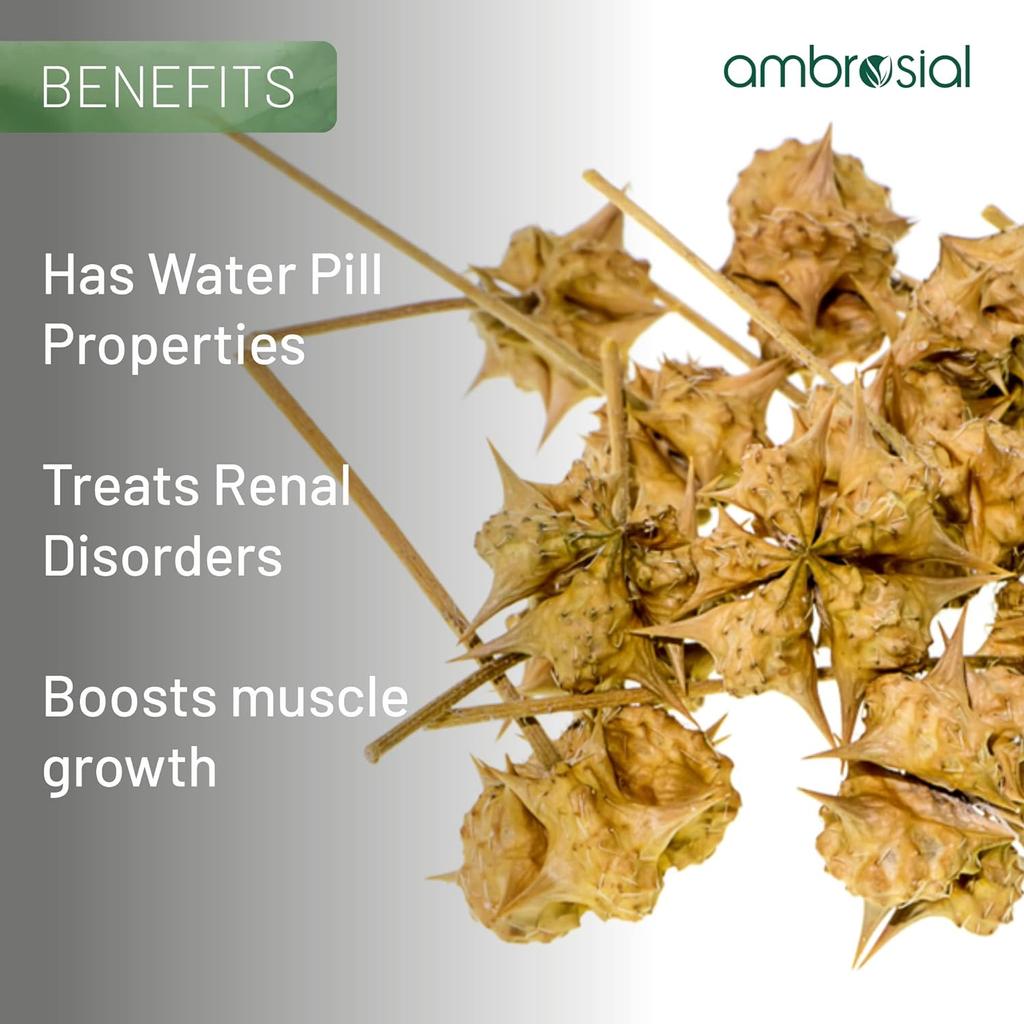 AMBROSIAL Gokshura Таблетки Tribulus Terrestris Высокая концентрация Gokshura 500 мг Каждая капсула (Упаковка 1-60 капсул)