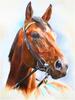 DIY алмазная живопись животное вышивка крестиком полный круглый дрель конь живопись вышивка ремесло украшение дома