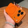 Luxury Litchi Leather Glass Large Window For Magsafe Case For iPhone 17 16 15 14 13 12 11 Pro Max Armor Bumper Plating Cover