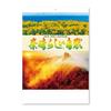 New Japan Calendar 2026 Wall Amazing Nature with 610 X NK116 Calendar, Chronology, 425mm,