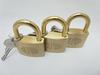 ALPHA Набор из 3 навесных замков с ключом 40 мм,