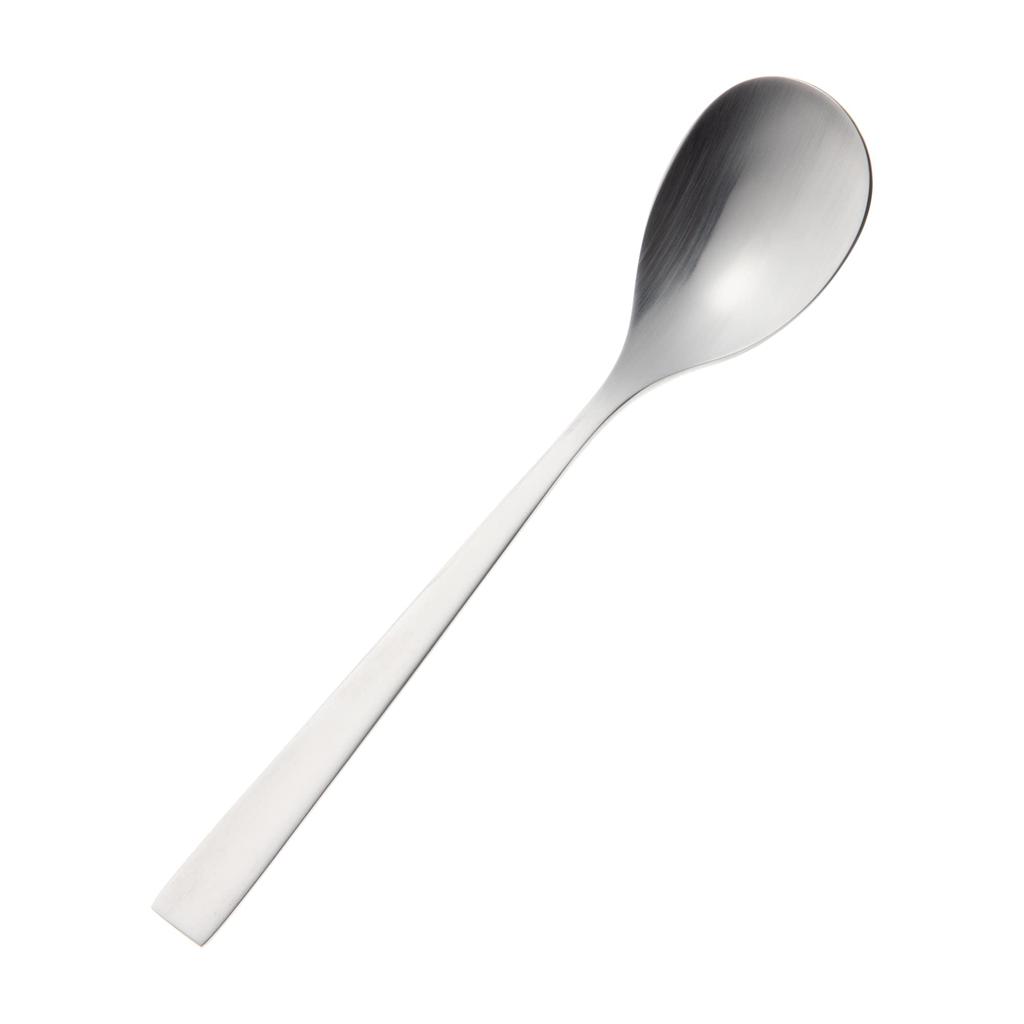 Nagao Tsubame Shinko Kogyo SUNAO Dinner Spoon 184mm Stainless Steel Made In Japan 18-8