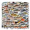55 Fish Deep Sea Fish Doodle Stickers Decorative Suitcase Laptop Mobile Phone Cartoon Stickers