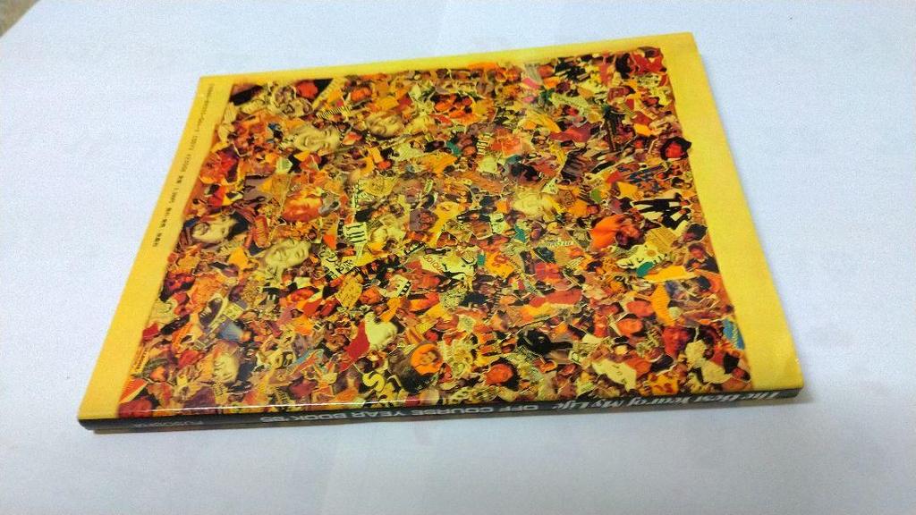 [USED] OFF COURSE THE BEST YEAR OF MY LIFE Photo Collection